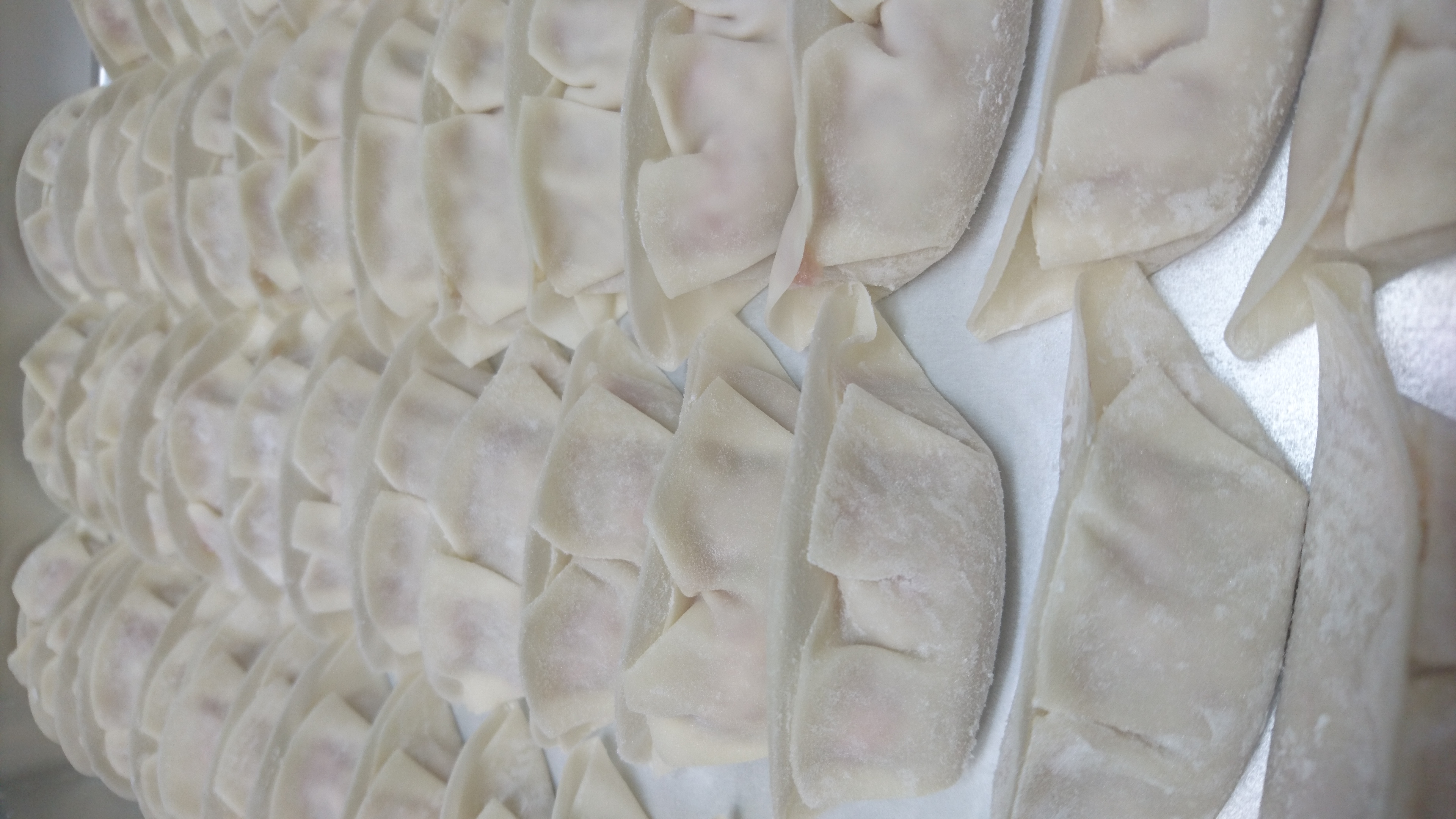 【業務用】 京都 餃子 大容量 300個 一個あたり33円 冷凍 ギョーザ